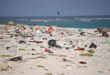 Plastic afval op het strand