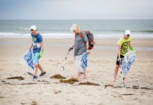 Beach Cleanup Tour