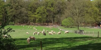 natuur-overijssel