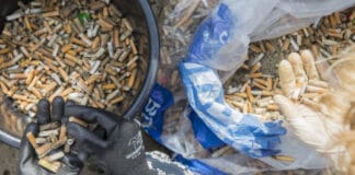 Peukenvervuiling Boskalis Beach Cleanup Tour Vrijwilligers rapen peuken langs de hele Noordzeekust