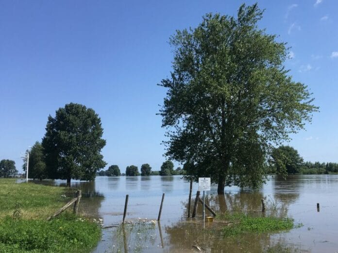 klimaat verandert