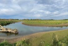 natuurgeul-ijssel