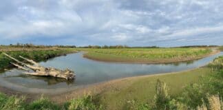 natuurgeul-ijssel