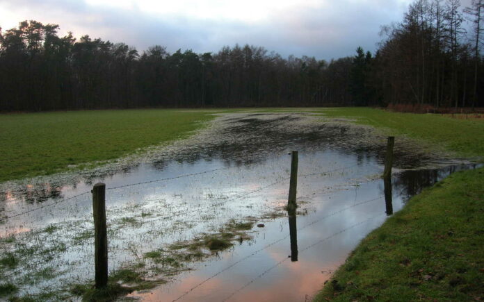 Graslandbevloeiing