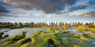 waddenzee