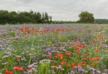 watermaatregelen landbouw